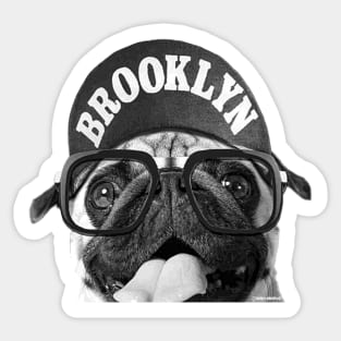 BROOKLYN PUG Sticker